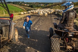 VOYAGE EN ISLANDE, EUROPE 