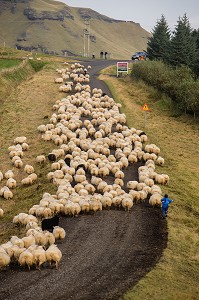 VOYAGE EN ISLANDE, EUROPE 