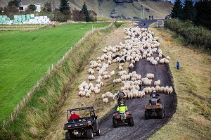 VOYAGE EN ISLANDE, EUROPE 