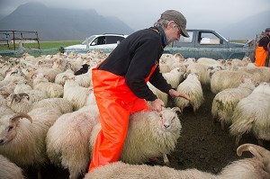 VOYAGE EN ISLANDE, EUROPE 