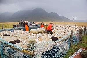 VOYAGE EN ISLANDE, EUROPE 