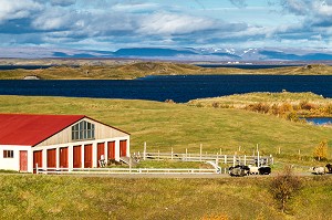 VOYAGE EN ISLANDE, EUROPE 