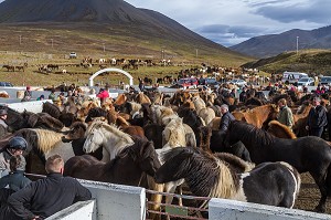 ILLUSTRATION ISLANDE, EUROPE 