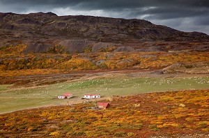 VOYAGE EN ISLANDE, EUROPE 