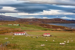 VOYAGE EN ISLANDE, EUROPE 
