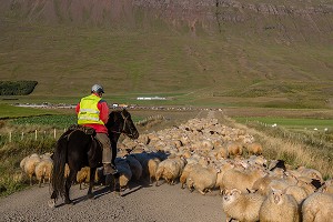 VOYAGE EN ISLANDE, EUROPE 
