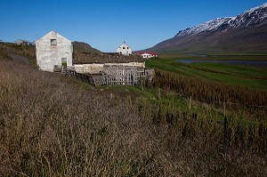 VOYAGE EN ISLANDE, EUROPE 