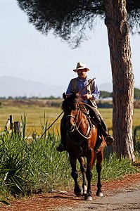 BUTTERI, 'COW-BOYS TOSCANS', AZIENDA REGIONALE AGRICOLA DI ALBERESE, UNIQUE 'FERME' DANS LE PARC NATUREL DE MAREMME, SPERGOLAIA, REGION DE GROSSETO, MAREMMA, TOSCANE, ITALIE 