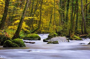 COULEURS D'AUTOMNE DANS LE CALVADOS (14), BASSE NORMANDIE, FRANCE 