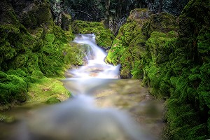 ILLUSTRATION ALPES DE HAUTE PROVENCE (04), PACA, FRANCE 