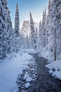 LE CANADA OUEST EN HIVER, AMERIQUE DU NORD 