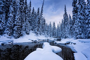 LE CANADA OUEST EN HIVER, AMERIQUE DU NORD 