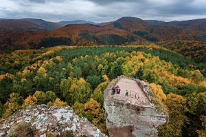 ROUTE DES CHATEAUX D'ALSACE, BAS-RHIN (67), FRANCE 