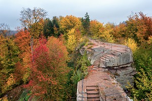 ROUTE DES CHATEAUX D'ALSACE, BAS-RHIN (67), FRANCE 