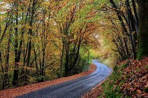 LA SUISSE NORMANDE, CALVADOS (14), BASSE-NORMANDIE, FRANCE 