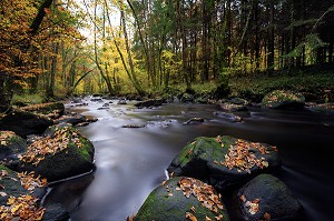 LA SUISSE NORMANDE, CALVADOS (14), BASSE-NORMANDIE, FRANCE 