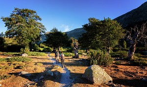 RANDONNEE SUR LE GR20, (2B) HAUTE-CORSE, FRANCE 