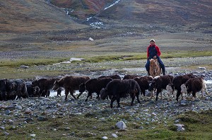 LA MONGOLIE, ASIE 