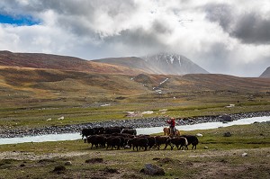 LA MONGOLIE, ASIE 