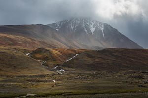 LA MONGOLIE, ASIE 