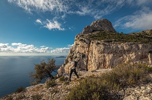 RANDONNEUR AU BORD DE FALAISES SURPLOMBANT LES CALANQUES ET LA MER MEDITERRANEE, FALAISES DE DEVENSON, MARSEILLE, BOUCHES-DU-RHONE (13), PROVENCE-ALPES-COTE D'AZUR, FRANCE 