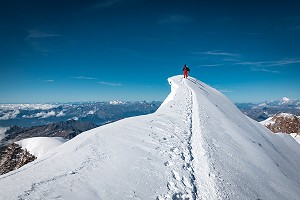 ALPINISTES SUR L'ARETE AERIENNE DU SOMMET DE LA POINTE PARROT, MASSIF DU MONT-ROSE, GRESSONEY-LA-TRINITE, VAL D'AOSTE, ITALIE 