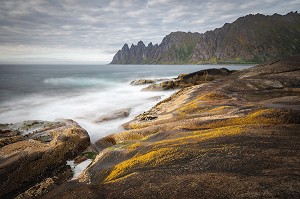 ALGUES COLORANT LES ROCHERS DE LA PLAGE DE TUNGENESET, SENJA, NORVEGE 