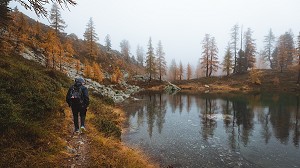 RANDONNEUR AU BORD DU LAC DES ADUS DANS LE BROUILLARD, MELEZES AUX COULEURS AUTOMNALES, PARC NATIONAL DU MERCANTOUR, SAINT-MARTIN-VESUBIE, PROVENCE-ALPES-COTE-D'AZUR, (06) ALPES-MARITIMES, FRANCE 