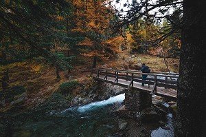 RANDONNEUR FRANCHISSANT UNE RIVIERE SUR UN PONT EN BOIS, COULEURS AUTOMNALES, PARC NATIONAL DU MERCANTOUR, SAINT-MARTIN-VESUBIE, PROVENCE-ALPES-COTE-D'AZUR, (06) ALPES-MARITIMES, FRANCE 