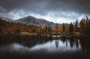 LAC GRAVEIRETTE BORDE DE MELEZES AUX COULEURS AUTOMNALES, PARC NATIONAL DU MERCANTOUR, SAINT-MARTIN-VESUBIE, PROVENCE-ALPES-COTE-D'AZUR, (06) ALPES-MARITIMES, FRANCE 