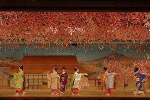 DANSE DES CERISIERS INTERPRETEE PAR LES GEIKOS ET MAIKOS DANSEUSES (TACHIKATA), SPECTACLE MIYAKO-ODORI AU THEATRE KABURENJO DE DANSE TRADITIONNELLE, QUARTIER DE GION-KOBU, KYOTO, JAPON, ASIE 