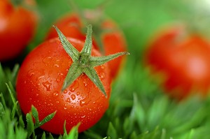 TOMATE RONDE, A LA FOIS FRUIT ET LEGUME CONTENANT DU LYCOPENE, UN PUISSANT ANTIOXYDANT BON POUR LA PROSTATE ET LA PEAU 