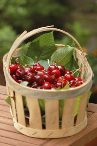 PANIER DE CERISES, FRUITS ROUGES RICHES EN POTASSIUM, AYANT DES VERTUS DIURETIQUES 