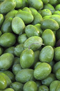 OLIVES FRAICHES, FRUITS RICHES EN VITAMINES A ET E, CORSE, FRANCE 