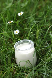 POT DE YAOURT BIO DANS L'HERBE AU MILIEU DES FLEURS 