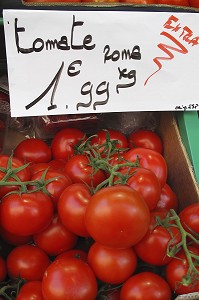 TOMATES DE TYPE ROMA, ETAL DUN PRIMEUR SUR UN MARCHE EN FRANCE 