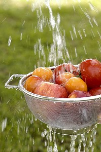 LAVAGE DE FRUITS ET LEGUMES DANS UNE ECUMOIRE SOUS UN JET D'EAU 