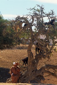 BEAUTE ET SOINS DU CORPS, TRADITIONS DU MAROC 