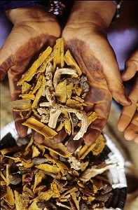 PARFUMS ET SENTEURS DU MAROC 