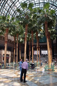 VERRIERE DU JARDIN D'HIVER DU WORLD FINANCIAL CENTER AUJOURD'HUI RECONSTRUITE A L'IDENTIQUE APRES LES ATTENTATS DU 11 SEPTEMBRE 2001, FINANCIAL DISTRICT, DOWNTOWN, MANHATTAN, NEW YORK CITY, ETAT DE NEW YORK, ETATS-UNIS 