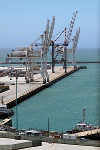 GRUES DANS LE PORT DE PORT ELIZABETH, PROVINCE DU CAP ORIENTAL, AFRIQUE DU SUD 