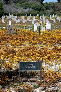 CIMETIERE DES LEPREUX SUR L'ILE DE ROBBEN ISLAND OU FUT EMPRISONNE NELSON MANDELA PENDANT L'APARTHEID, BAIE DU CAP, PROVINCE DU CAP OCCIDENTAL, AFRIQUE DU SUD 