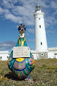 STATUE HUMORISTIQUE D'UN PINGOUIN SDF DEVANT LE PHARE DU CAP SAINT-FRANCIS, SAINT-FRANCIS, ROUTE DES JARDINS, KLEIN OU PETIT KAROO, PROVINCE DU CAP OCCIDENTAL, AFRIQUE DU SUD 
