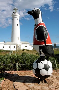 STATUE D'UN PINGOUIN D'AFRIQUE SUR UN BALLON DE FOOTBALL, CENTRE DE PRESERVATION DES PINGOUINS DU CAP SAINT-FRANCIS, SAINT-FRANCIS, PROVINCE DU CAP OCCIDENTAL, AFRIQUE DU SUD 