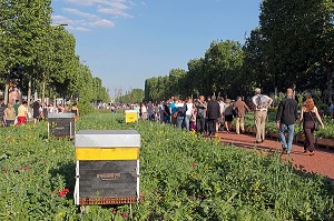 RUCHES ET PLANTES SUR L'AVENUE DES CHAMPS-ELYSEES LORS DE L'EVENEMENT 'NATURE CAPITALE' ORGANISE LES 23 ET 24 MAI 2010 PAR LE SYNDICAT DES JEUNES AGRICULTEURS, PARIS, ILE-DE-FRANCE, FRANCE 