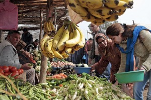 CHEF DE CUISINE DE TERRES D'AMANAR, VENDEUR DE FRUITS ET LEGUMES SUR LE MARCHE BERBERE DE TAHANAOUTE, AL HAOUZ, MAROC 