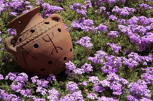 POTERIE AVEC LE SYMBOLE BERBERE, JARDIN D'UN ECO-LODGE, DOMAINE DE TERRES D'AMANAR, TAHANAOUTE, AL HAOUZ, MAROC 