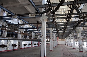 INTERIEUR DU SITE DESAFFECTE DES ABATTOIRS DE CASABLANCA, FRICHE URBAINE EN BETON ARME, HERITAGE DU MARECHAL LYAUTEY, MAROC 