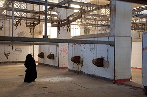 EXPOSITION A L'INTERIEUR DU SITE DESAFFECTE DES ABATTOIRS DE CASABLANCA, FRICHE URBAINE EN BETON ARME, HERITAGE DU MARECHAL LYAUTEY, MAROC 