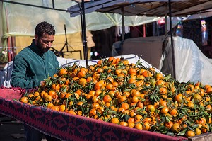 VENDEUR DE CLEMENTINES SUR LE MARCHE LA KISSARIA, HAY MOHAMMADI, COMMUNE LA PLUS PAUVRE DE CASABLANCA, MAROC, AFRIQUE 